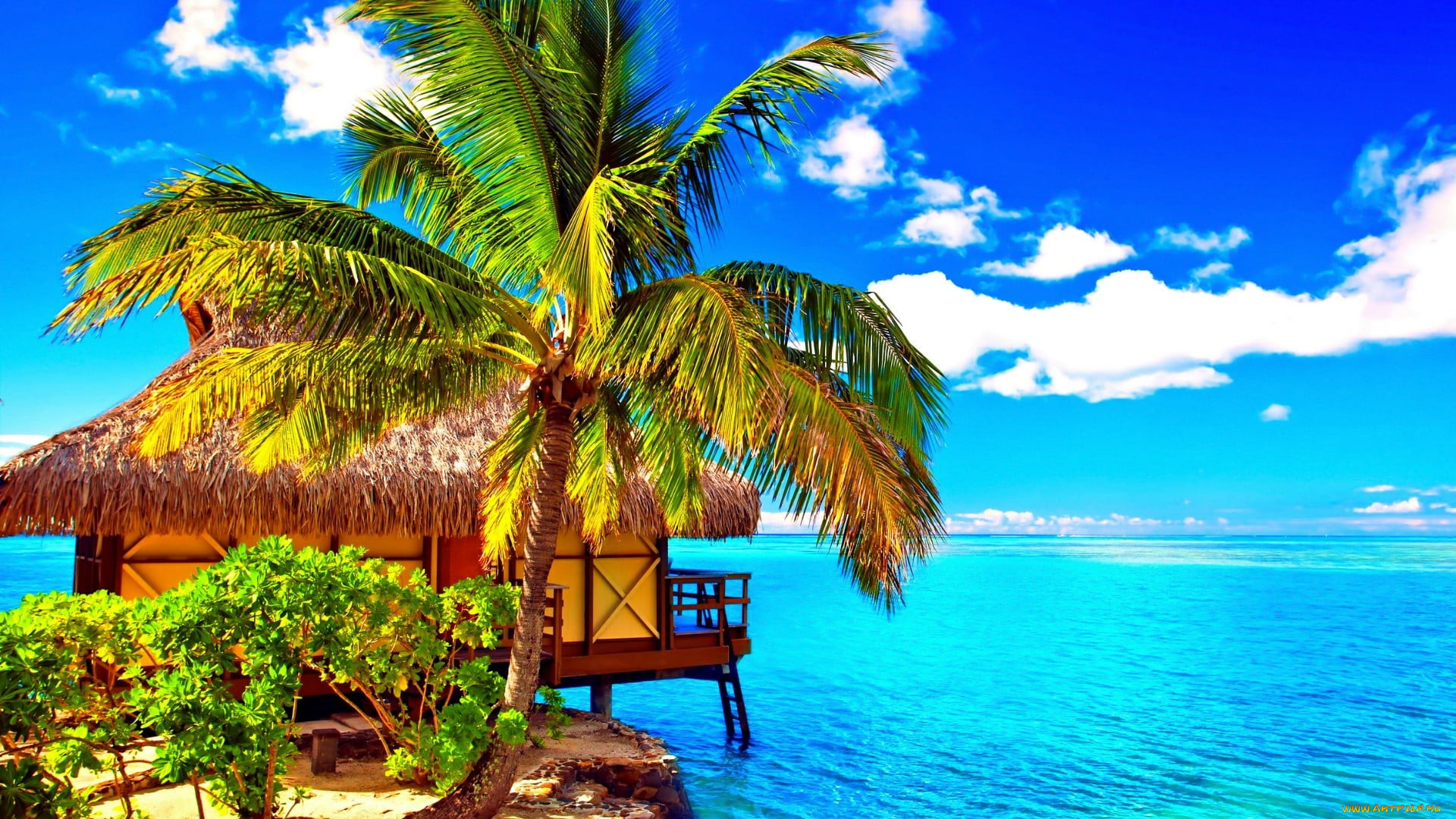 moorea island, tahiti, french polynesia, , , moorea, island, french, polynesia